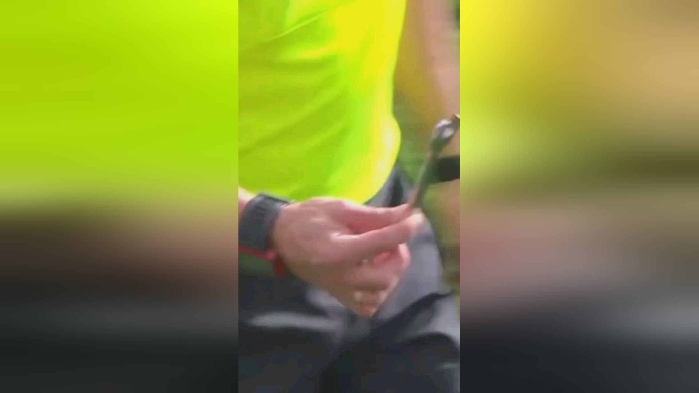 相似